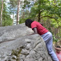Les rochers de Fontainebleau 