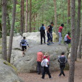 Les rochers de Fontainebleau 